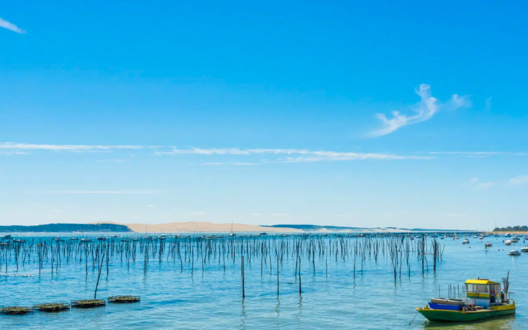 Rêveries entre dunes du pilat et cabanes du bassin d’arcachon
