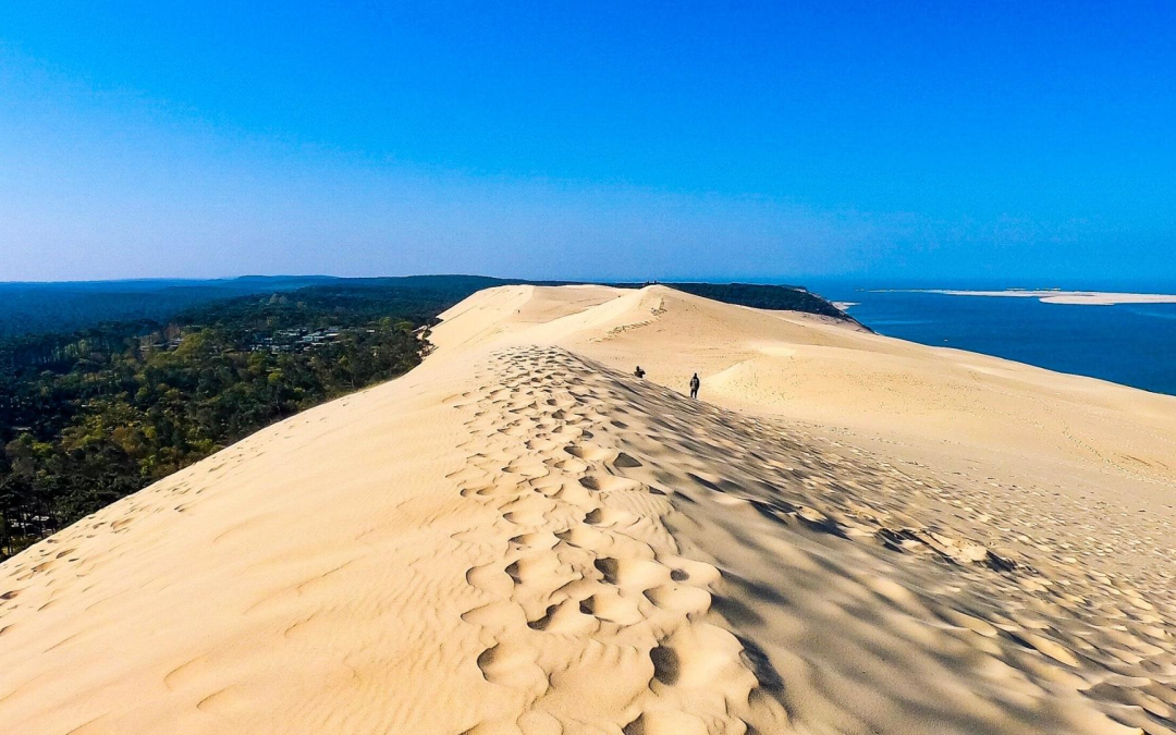 Immersion estivale dans le bassin d’arcachon entre festivals et nature
