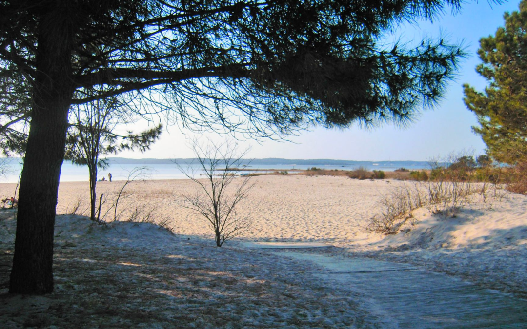 Moulleau arcachon, joyau bohème entre plages secrètes et saveurs