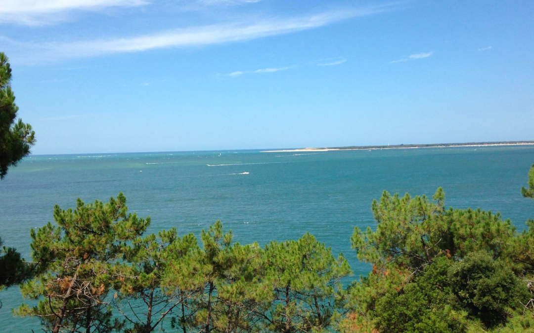 Émerveillement au bassin d’arcachon et sur la dune du pilat