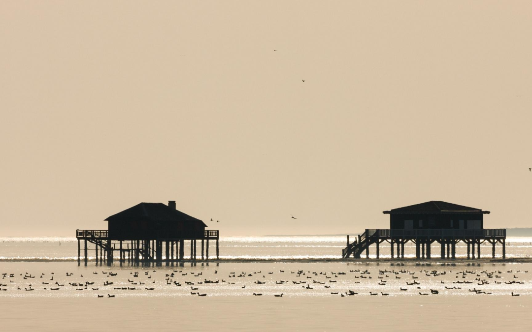 Plongée authentique au cœur du bassin d’arcachon et dunes